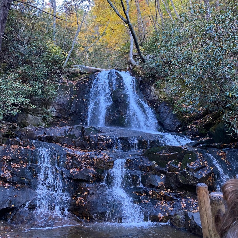 Meet your Posher, Adam